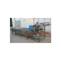 果蔬清洗機選購指南 第40頁機械設備深度解析